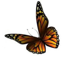 C:\Users\School\Desktop\РОЗРОБКИ\картинки\depositphotos_407380196-stock-illustration-flying-orange-butterflies-vector-illustration (1мпр)12.png